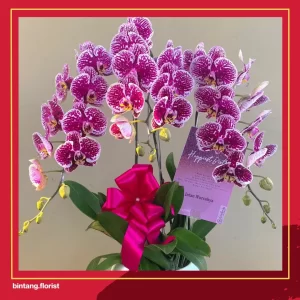 Toko Bunga Terdekat Jakarta Selatan 