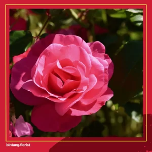 Toko Bunga Di Jakarta Utara