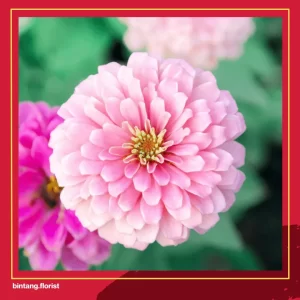 Toko Bunga Di Surabaya Timur